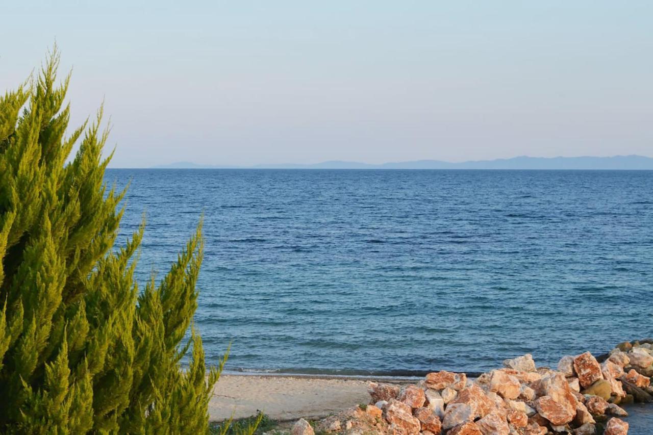 Lemon Beach Front Apartment, Nikiti Екстериор снимка